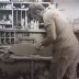 Grandpa in his Dulcimer shop.jpg