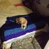 IMG_20180221_212023~2.jpg