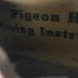 2 pigeon.jpg