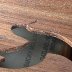 IMG_0945.jpeg