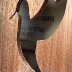 IMG_0955.jpeg