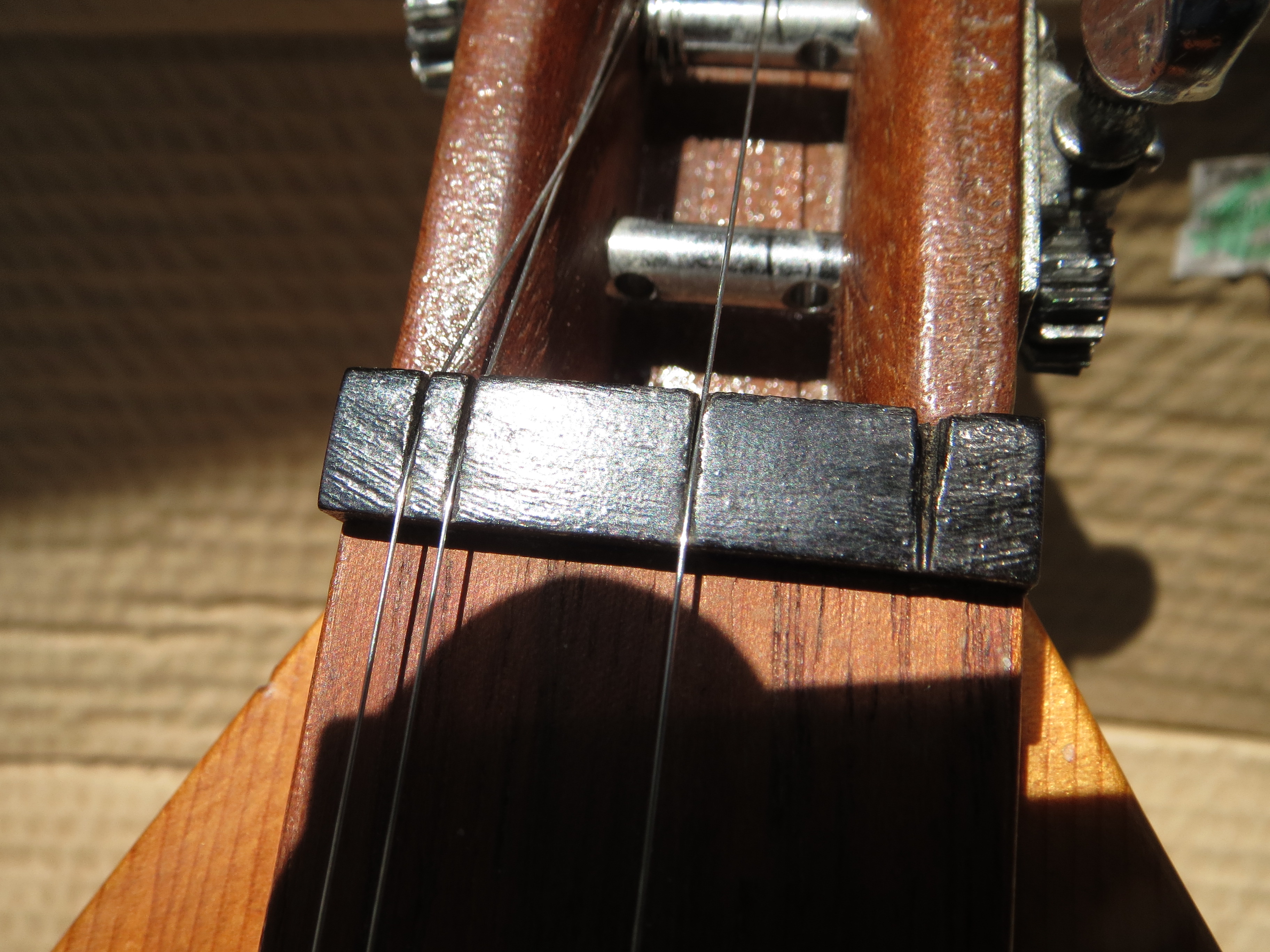 - Forums | fotmd.com