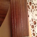 Defect Roosebeck Dulcimer.JPG.jpg