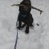 20200124_103554.jpg