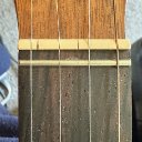 IMG_7495.jpeg