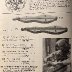 catalog.jpg