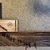 IMG_2214.jpeg