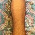 IMG_8780.jpeg
