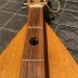 Galax fretboard smaller 3.jpeg