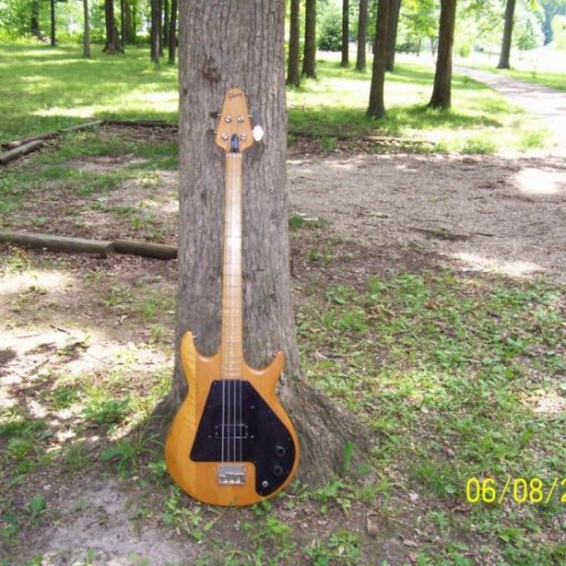 Early 70's Gibson Bass