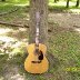 Late 70's Alverez Acoustic