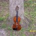 19th Century Violin (no label)