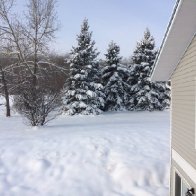 Winter on Hardy's Hill November 5 2018_1