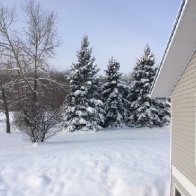 Winter on Hardy's Hill November 5 2018_1.JPG