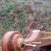 shoat2.4