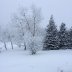 2019_01_18 fresh snow on Hardy's Hill