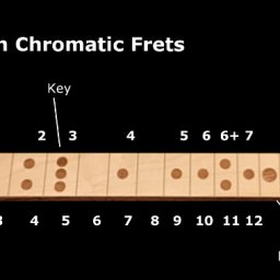 Dia-chromatic fretboard.jpg