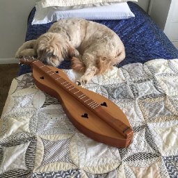 Riley Dulcimer.jpg