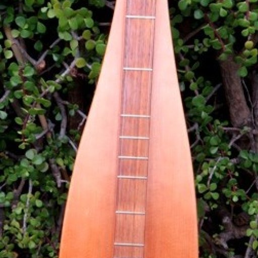 TW 1 dulcimer