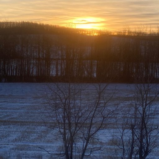 Sunrise On Hardy's Hill December 24 2020 930 am