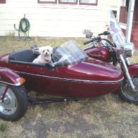 NONI-SideCar.JPG