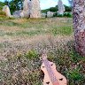 DSC05600-hermine-menhirs-ok