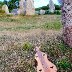 DSC05600-hermine-menhirs-ok