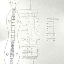 chromatic-diatonic frets.jpg