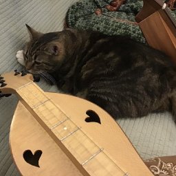 Dexter with dulcimers, couch-2025.jpg