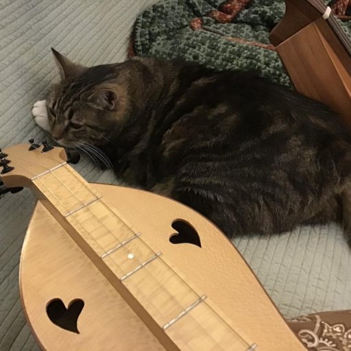 Dexter with dulcimers, couch-2025