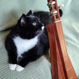 Dad's cherry dulcimer and Jingle Belle-2.jpg