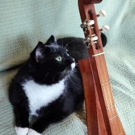 Dad's cherry dulcimer and Jingle Belle-2.jpg