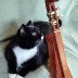 Dad's cherry dulcimer and Jingle Belle-2