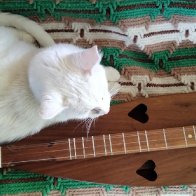 Taz with Walnut Valley Dulcimer-2