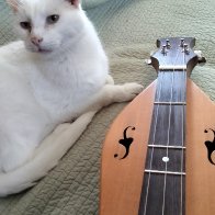 Taz and Folk Roots dulcimer-Aug 2026 