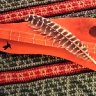 Warren May dulcimer and Turkey feather-Sept 2026