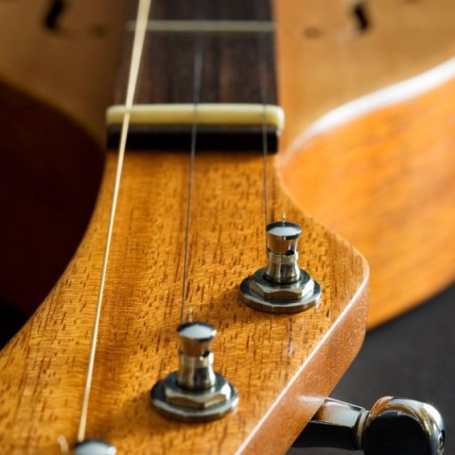 Dan Evans Bristish dulcimer from head