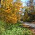 Looking down Slaughter Hollow Road