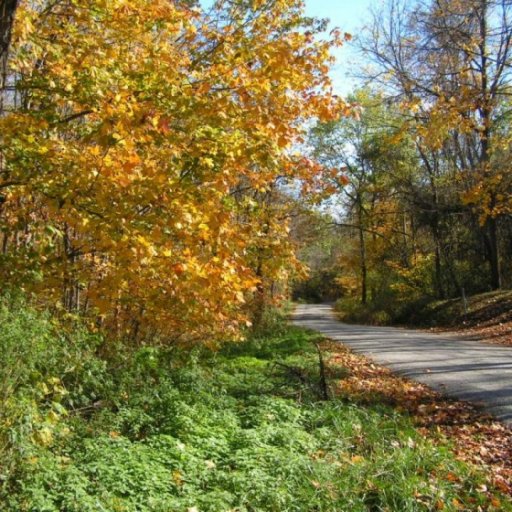 Looking down Slaughter Hollow Road