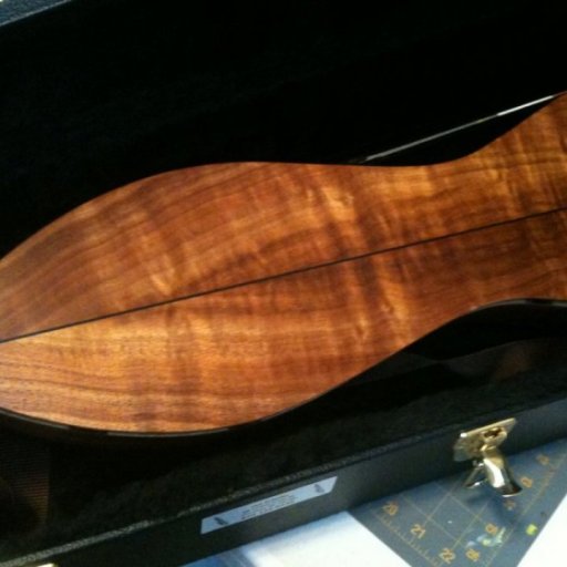 Modern Mtn Dulcimer