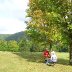 Jammin under the tree...