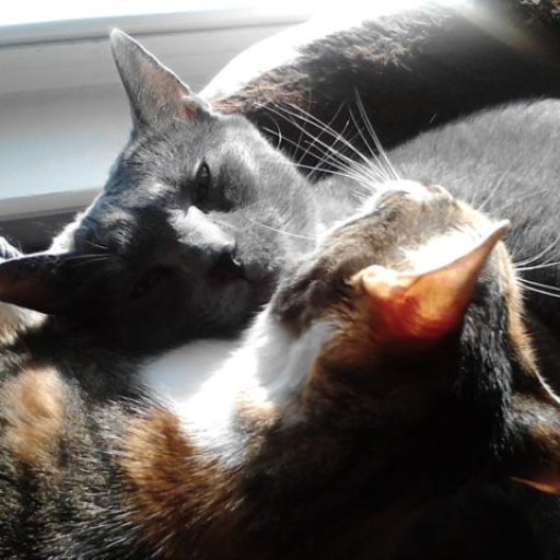 Beebe n Dolly in the sun