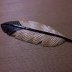 the " Eagle Feather " rod piezo bridge