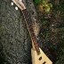 My First Butternut Limb Neck build / 02