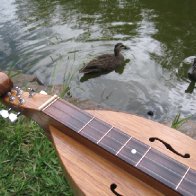 Magowan Mountain Dulcimer & Ducks