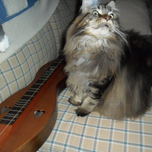 Polly-cat with dulcimer