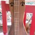 "Native American" themed dulcimer