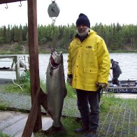 43lb King Salmon