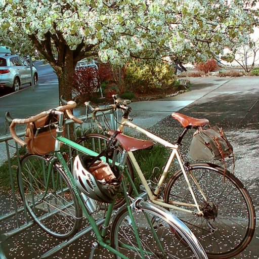 Spring... bicyle season!