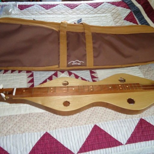 Case that came with my new dulcimer